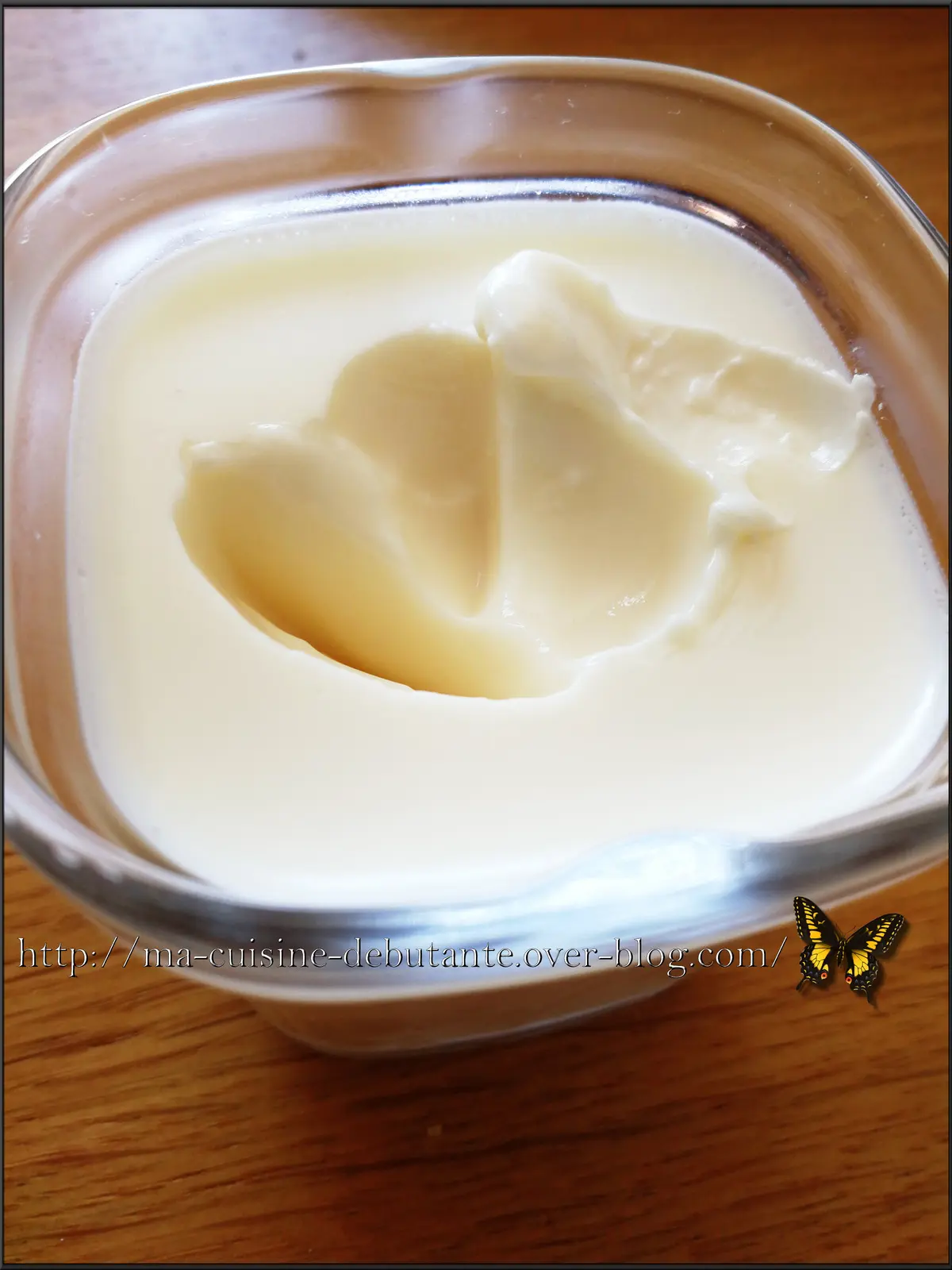 yaourt seb multi delices 2