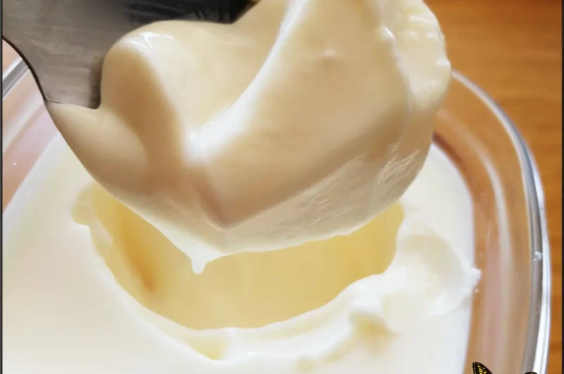 Recettes de yaourt onctueux à la Multi Delices